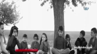 Diyarbakırlı Kürt Sanatçıdan ‘Vatan’ Şarkısı