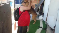 İşten Eve Gelişinde İnsan Dostunu Bir Baba Şefkatiyle Karşılayan Köpek 