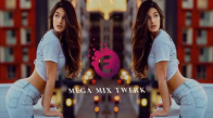 Mega Mix Twerk