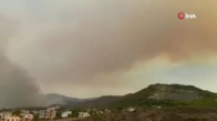 Suriye’de orman yangını çıktı, dumanı Samandağ'ı kapladı 