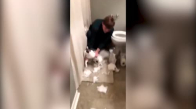 Parçaladığı Tuvalet Kağıdını Kediye Toplatan Adam
