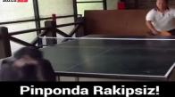 Masa Tenisinde Rakip Tanımayan Şempanze