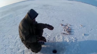 Buz Üzerinde Levrek Balık Avı..Çok zevkli Ama Soğuk