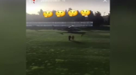Galatasaraylı Rodrigues Sahaya Helikopterle İndi