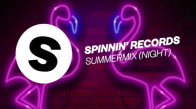 Spinnin' Records Summer Night Mix 2018