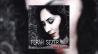 Ferah Sezer - Zararlı Çıktın