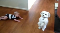 Köpek ve Bebek Dans Ediyor