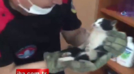 Klozete Sıkışan Yavru Kediyi Kurtarma Operasyonu Kamerada