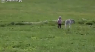 Çocukla Atın Oyunaması