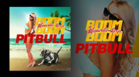 Pitbull - Muévelo Loca Boom Boom