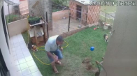 Karınca Yuvasını Yakmak İsterken Bahçeyi Patlatan Adam