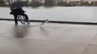 Kaykayı Kurtamaya Çalışan Bisikletlinin Suya Uçması