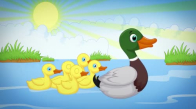 Beş Küçük Ördek Sayıları Öğreten Çocuk Şarkısı
