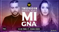Avi Panel Ft Zehava Cohen - Mi Gna TwoShadow Remix 
