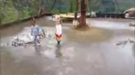 Biriken Yağmur Suyunda Oynamayı Seven Minikler