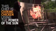 Tavukları Güneşte Pişiren Tayland'lı