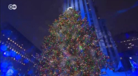 Dev Noel ağacı törenle ışıklandırıldı