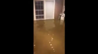 Harvey Kasırgası Sonrası Evinde Balık Yakalayan Adam