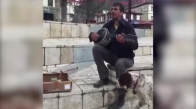 Sokak Sanatçısının Parasına Göz Koyan Şapşik Köpek