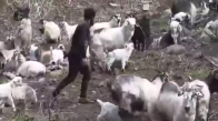 Keçilere Fısıldayan Adam