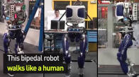 İnsan Gibi Yürüyor ve Görüyorlar- Robotların Geleceği Ne Olacak