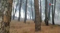 İtalya'nın Sardunya Adası'nda büyük yangın 