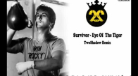 Survivor - Eye Of The Tiger TwoShadow Remix