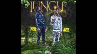Yungeen Ace Feat. JayDaYoungan - Jungle