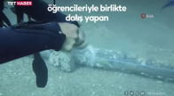 Antalya'da lokum balığı iğnelerden böyle kurtarıldı