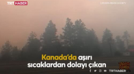 Kanada'da orman yangınları hayatı olumsuz etkiliyor