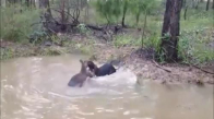 Kanguru Köpeği Suya Sokup Dövüyor