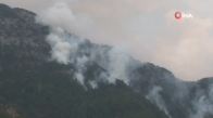 Alanya’daki orman yangını kısmen kontrol altına alındı 