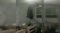 Tayland’da karnı acıkan fil, 1 ay sonra ikinci kez aynı evin mutfak duvarını kırdı 