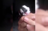 Çin'de İki Yüzlü Kedi Doğdu