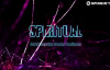 Curbi - Spiritual (Mriya) [feat. Brooke Tomlinson]