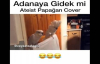 Adanaya Gidek mi - Ateist Papağan Cover
