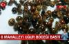 Rize'de 6 Mahalleyi Uğur Böceği Bastı! İşte Görüntüler 