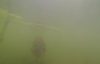 GoPro Yardımıyla Balık Tutan Adam