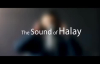 Grup Yasam The Sound Of Halay Volume 2 - Kurdish Halay Potpori New  Kurmanci 