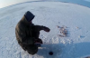 Buz Üzerinde Levrek Balık Avı..Çok zevkli Ama Soğuk