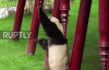 Yavru Pandayı Burnundan Elektrik Çarpması