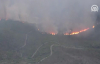 Yunanistan'daki Orman Yangınlarında 74 Kişi Öldü