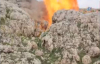 Herekol Dağı'nda PKK'nın Kullandığı 38 Mağara İmha Edildi