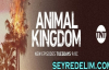 Animal Kingdom 3. Sezon Tanıtım Fragmanı