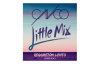 Cnco Ft. Little Mix Reggaeton Lento (Original Remix) 