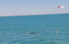 Tunus açıklarında batan akaryakıt yüklü gemide sızıntı tespit edilmedi 