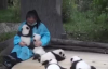 Pandalara Bakmak Dünyanın En İyi İşi