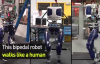 İnsan Gibi Yürüyor ve Görüyorlar- Robotların Geleceği Ne Olacak