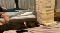Müthiş Bir Jenga Hamlesi Yapan Sevimli Köpek
