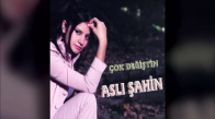 Aslı Şahin - Söylen Şiir